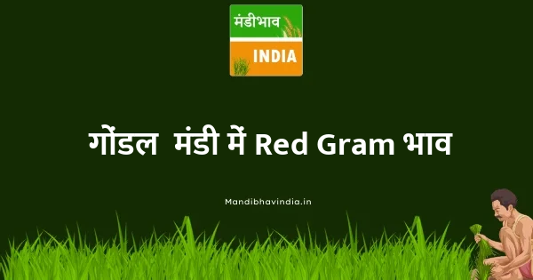 Red Gram भाव